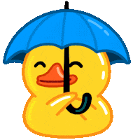 隐私保护与阅后即焚